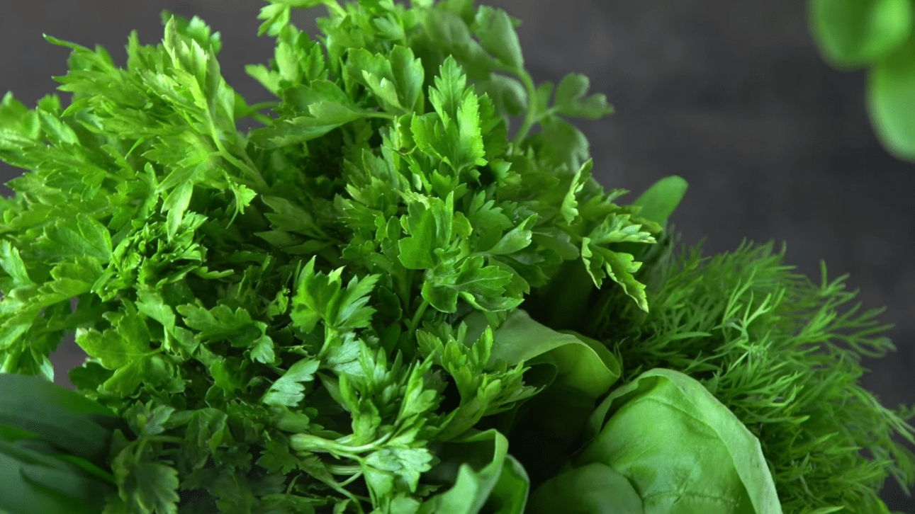 Експерти розповіли, коли сіяти та садити під зиму у листопаді за місячним календарем