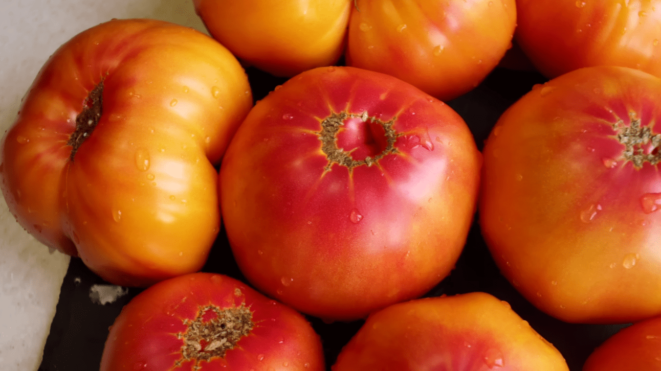 Городники назвали 5 нових сортів томатів для мега-урожаю 2026