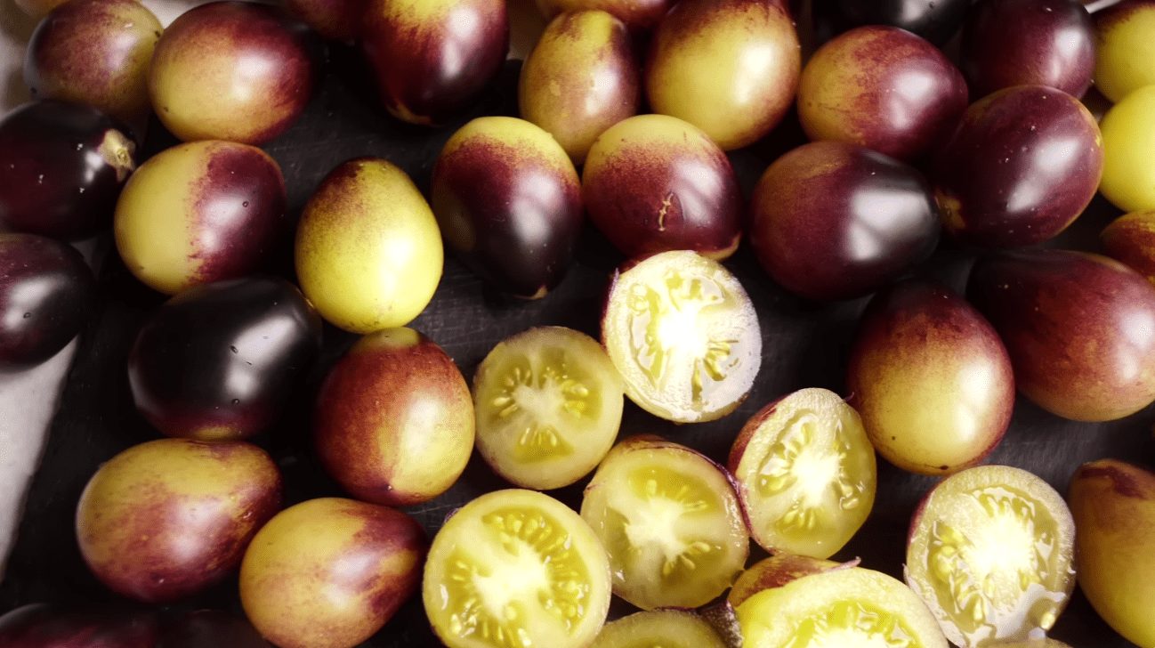 Городники назвали 5 нових сортів томатів для мега-урожаю 2026