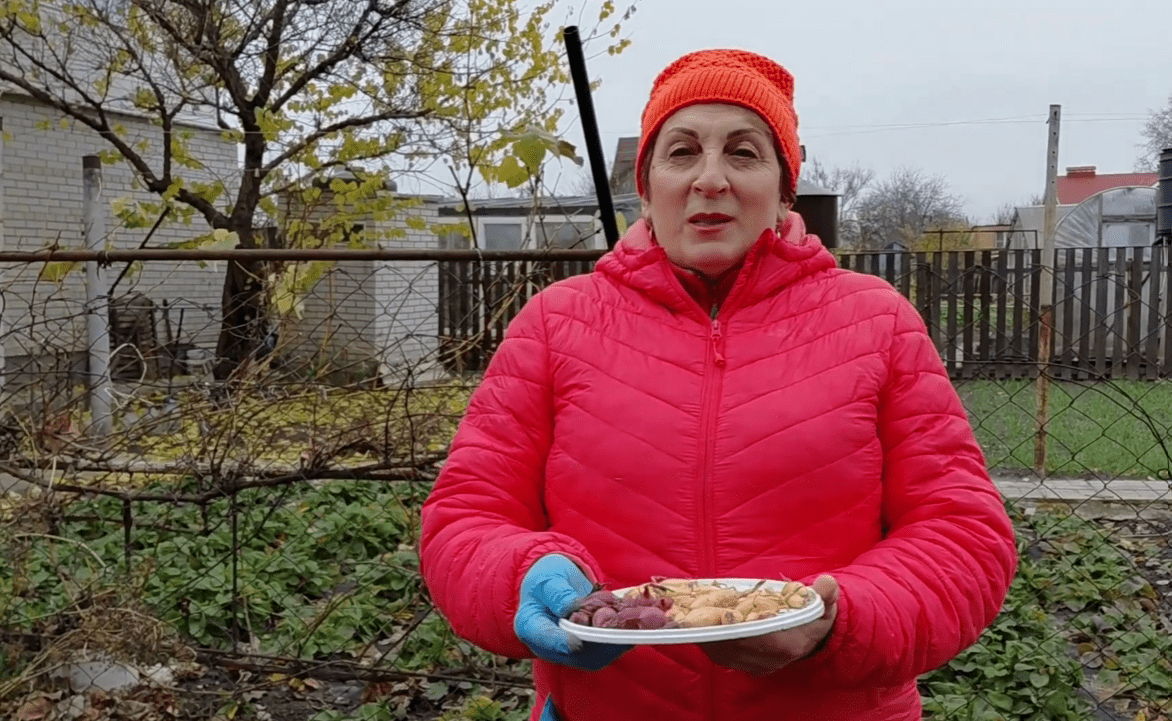 Коли і як садити озиму цибулю, щоб виросла велика: поради городників з Сум