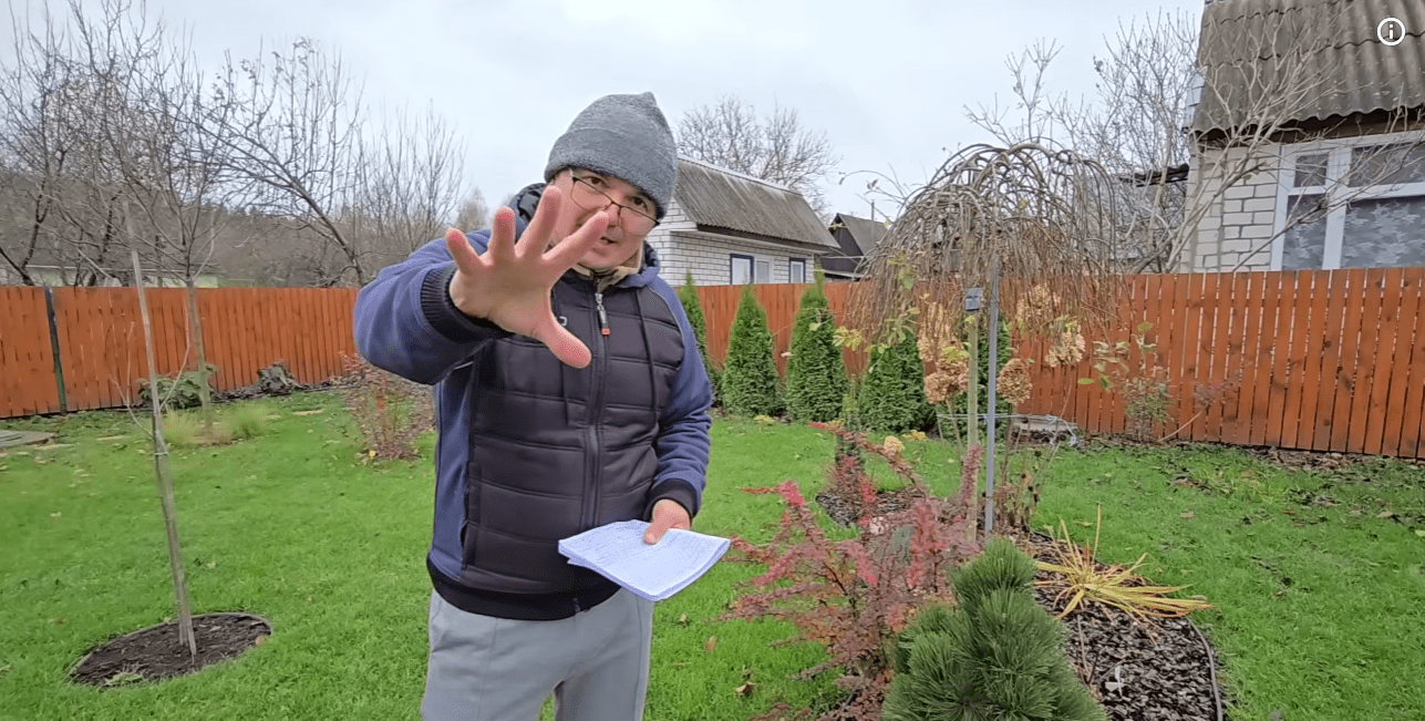 Городники назвали найкращі сорти огірків для всіх регіонів України