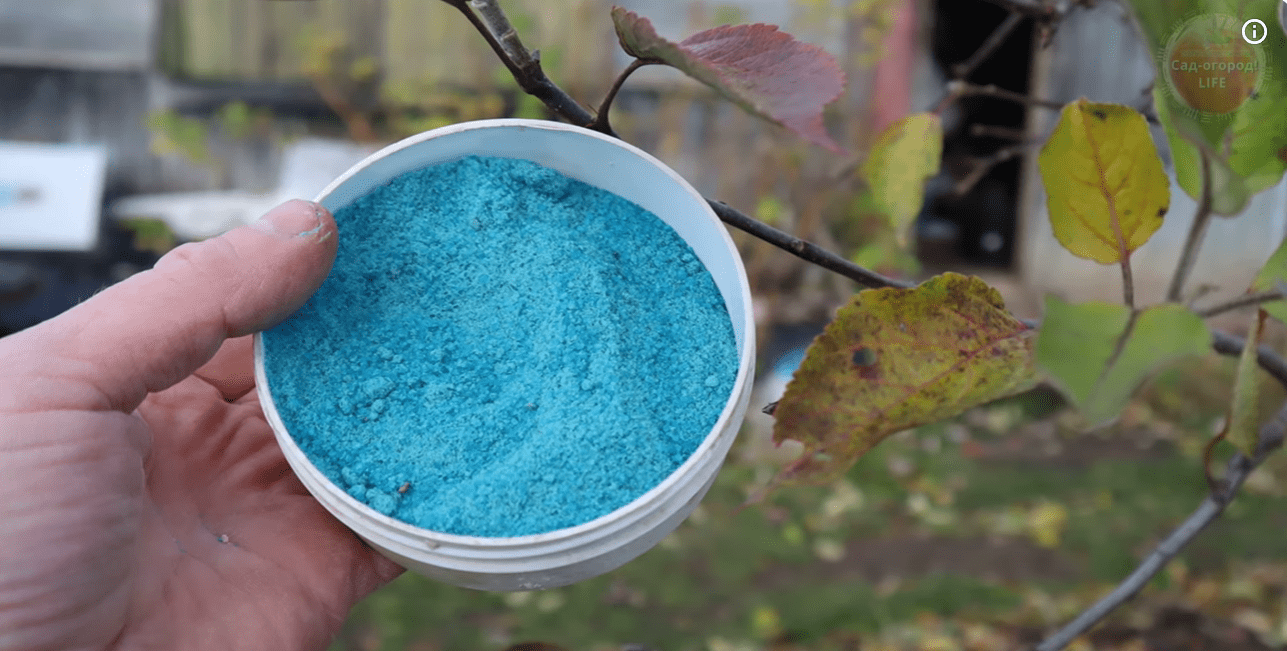 Чим провести обробку саду у листопаді, щоб отримати добрий урожай у 2026 році