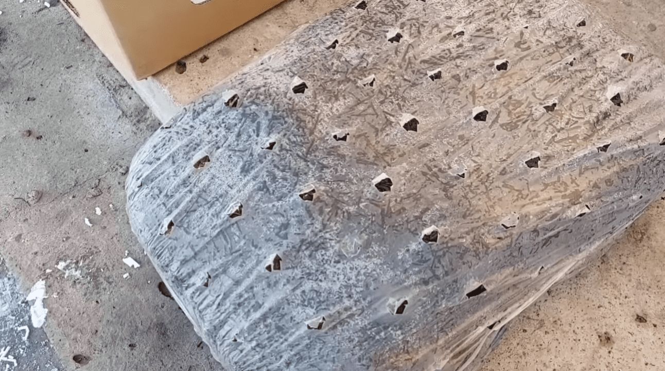 Вирощування печериць вдома: вся правда без прикрас