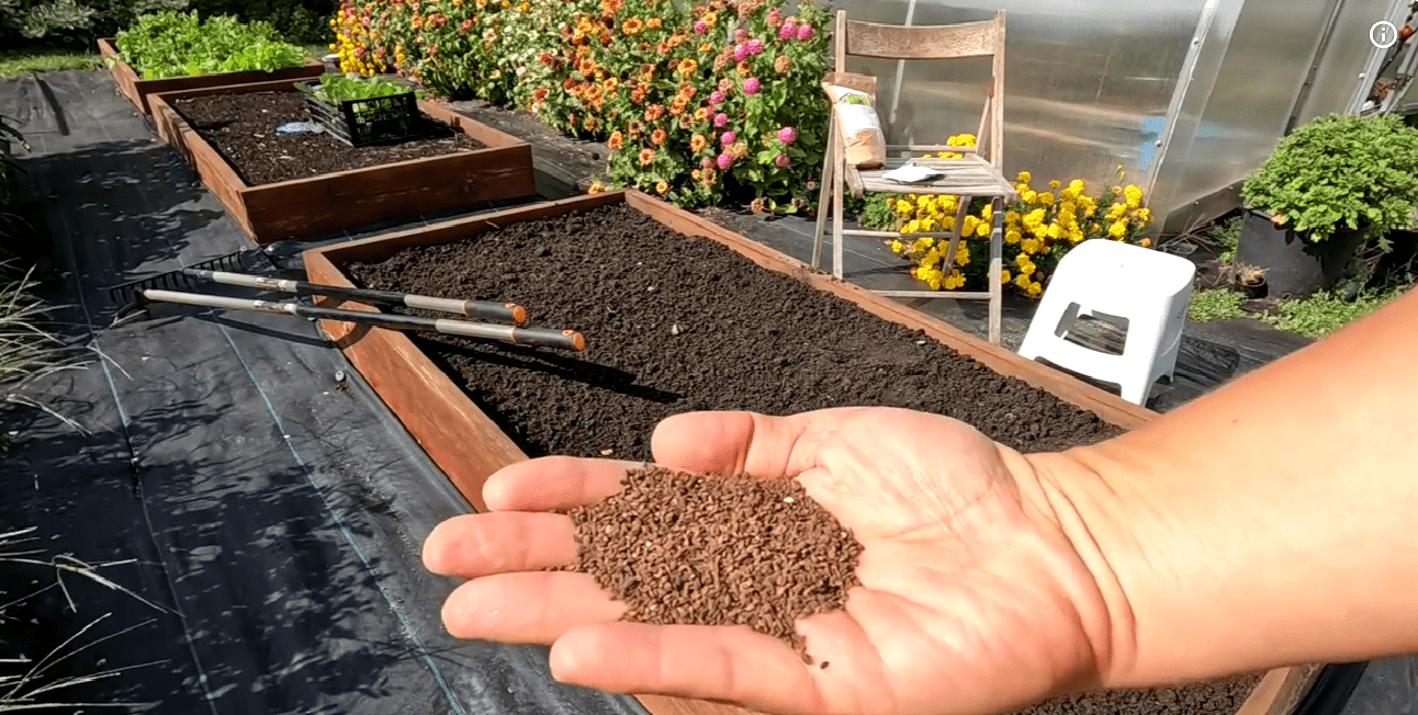 Як подвоїти врожай усіх культур на городі без добрив