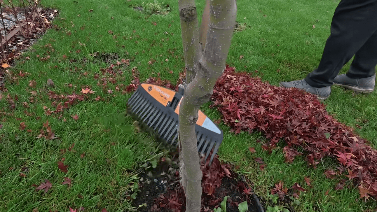 Городники розповіли, що потрібно обов'язково зробити на дачі у листопаді Городники розповіли, що потрібно обов'язково зробити на дачі у листопаді