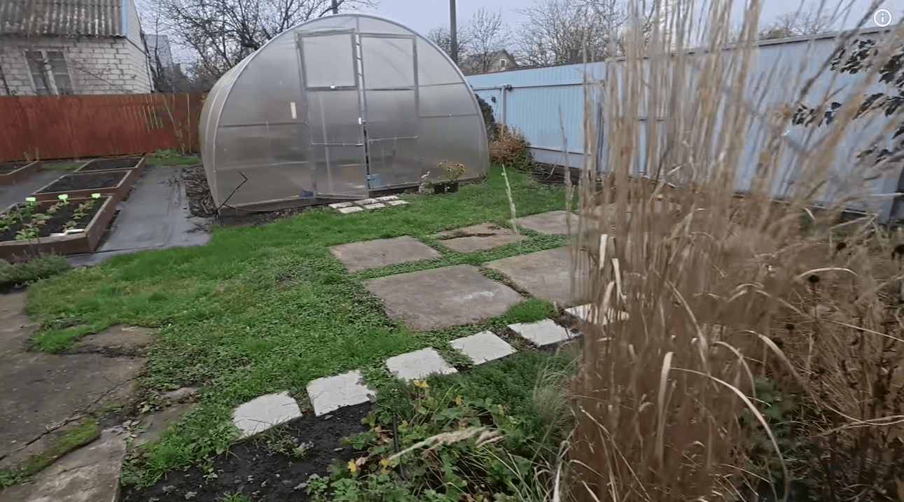 Городники розповіли, що потрібно обов'язково зробити на дачі у листопаді