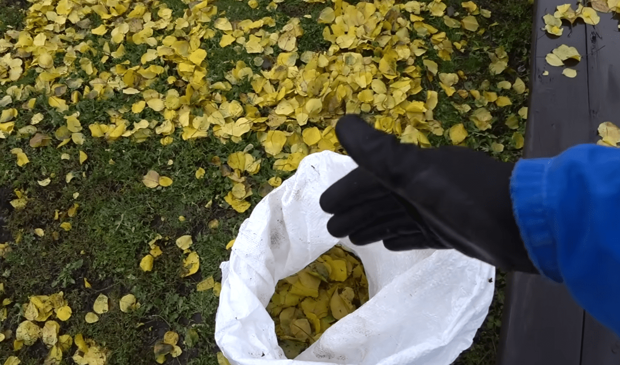 Городники розповіли, як приготувати універсальне добрива безкоштовно