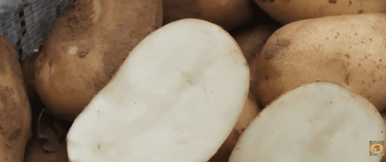 Городники назвали найгірші сорти картоплі 2025 року