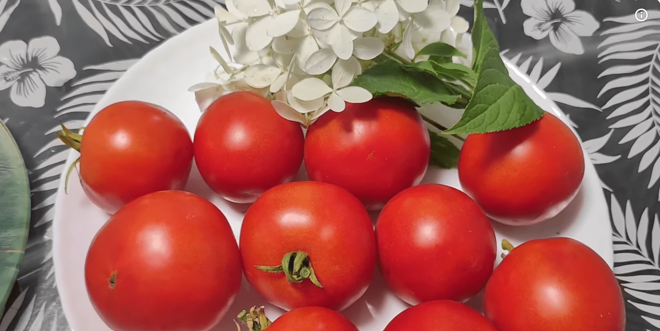 Городники назвали найкращі ранні сорти томатів: дають урожай за будь-якої погоди