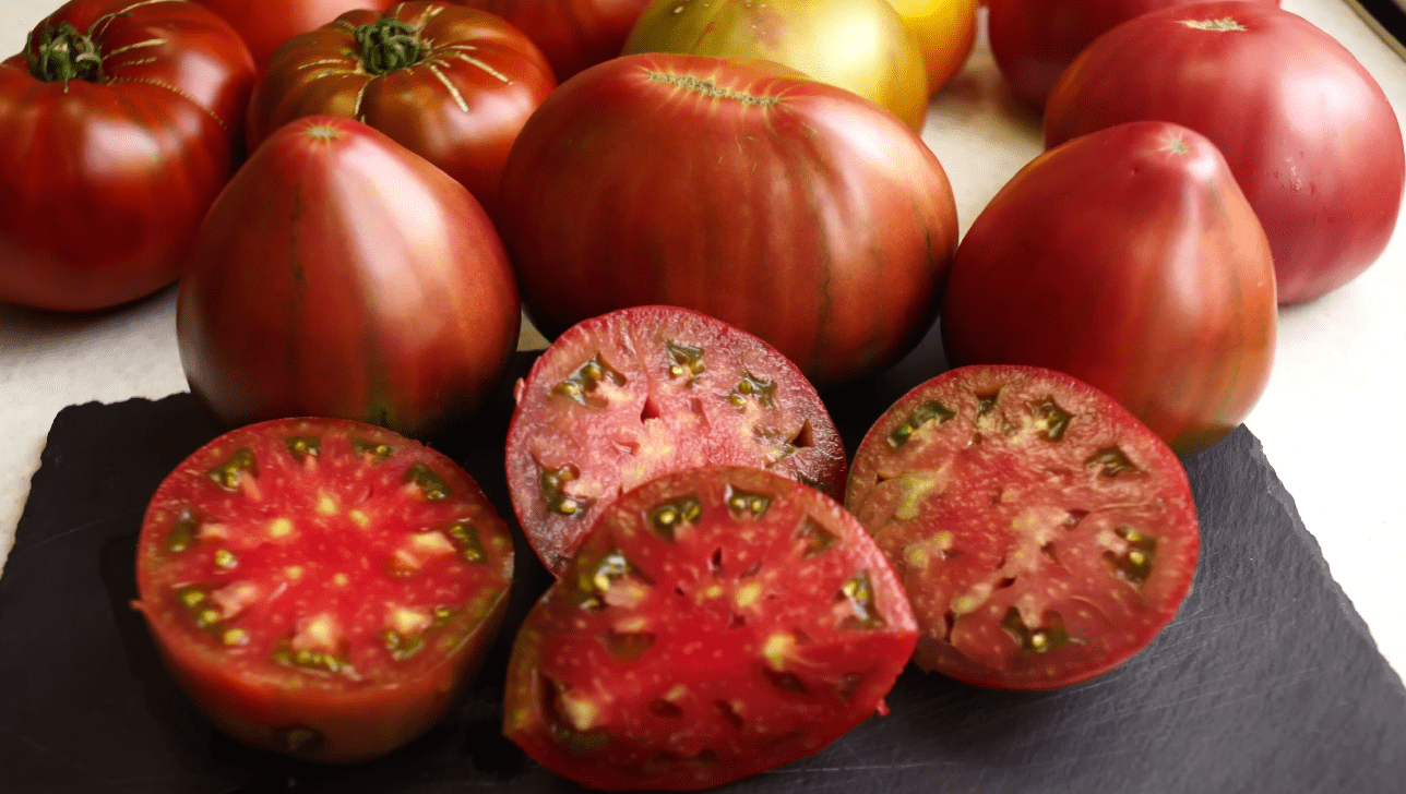 Садівники назвали сорт помідорів із найбільш насиченим смаком