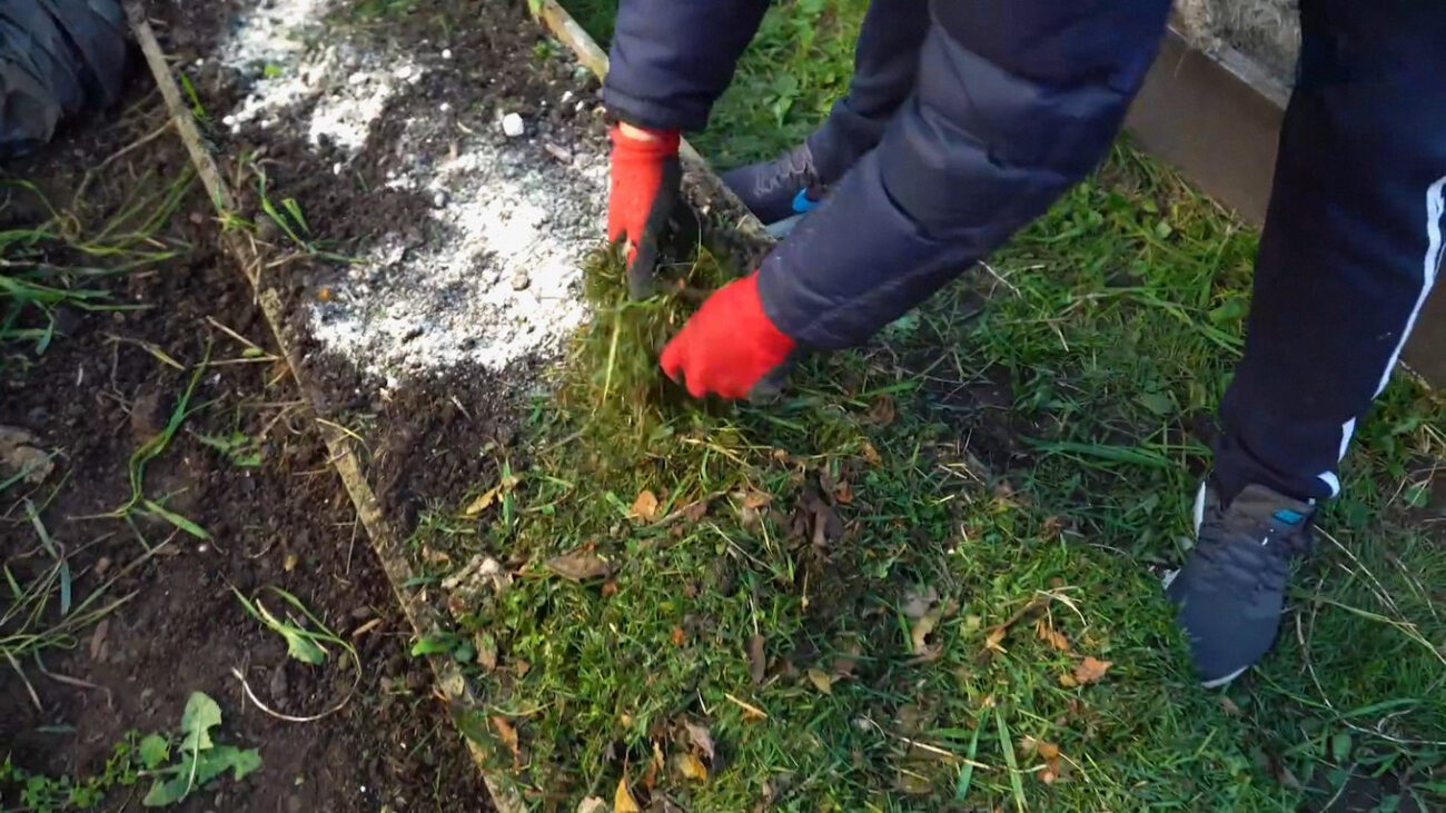 Городники пояснили 2 ключові правила осіннього вапнування