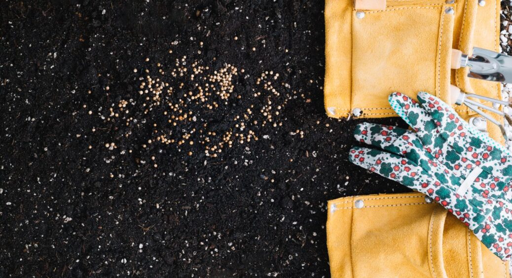 На Франківщині у грудні грядки посипають цим: склянка на 1 кв. метр, і родючість отака! 