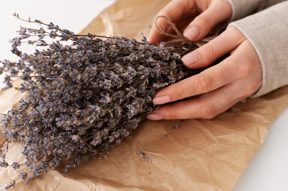 Експерти назвали найдієвіші засоби від молі в шафах