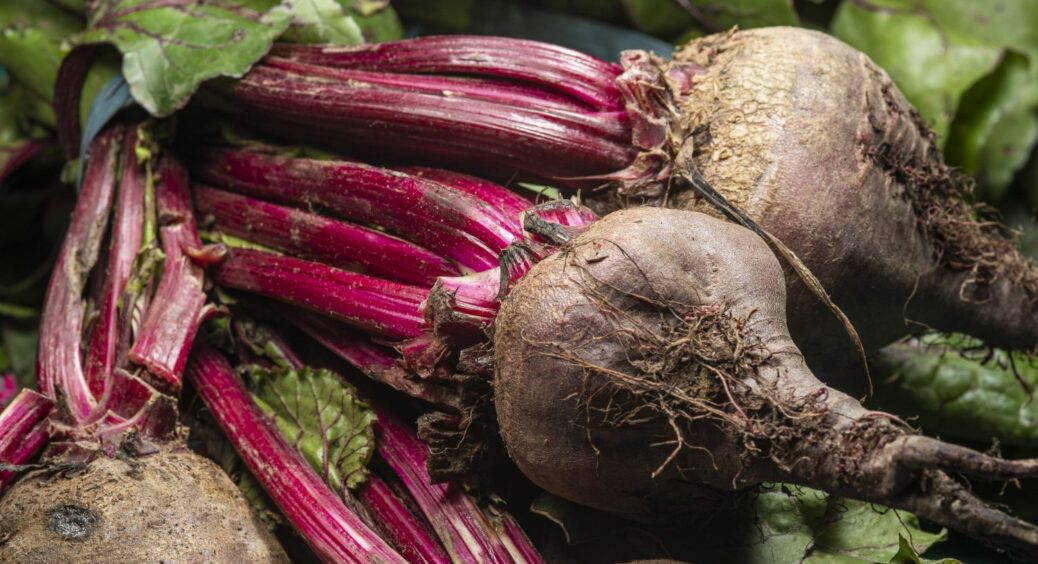 Вже 15 років висаджую ці 4 овочі під зиму на Франківщині – маю супер врожай: не часник і цибуля 