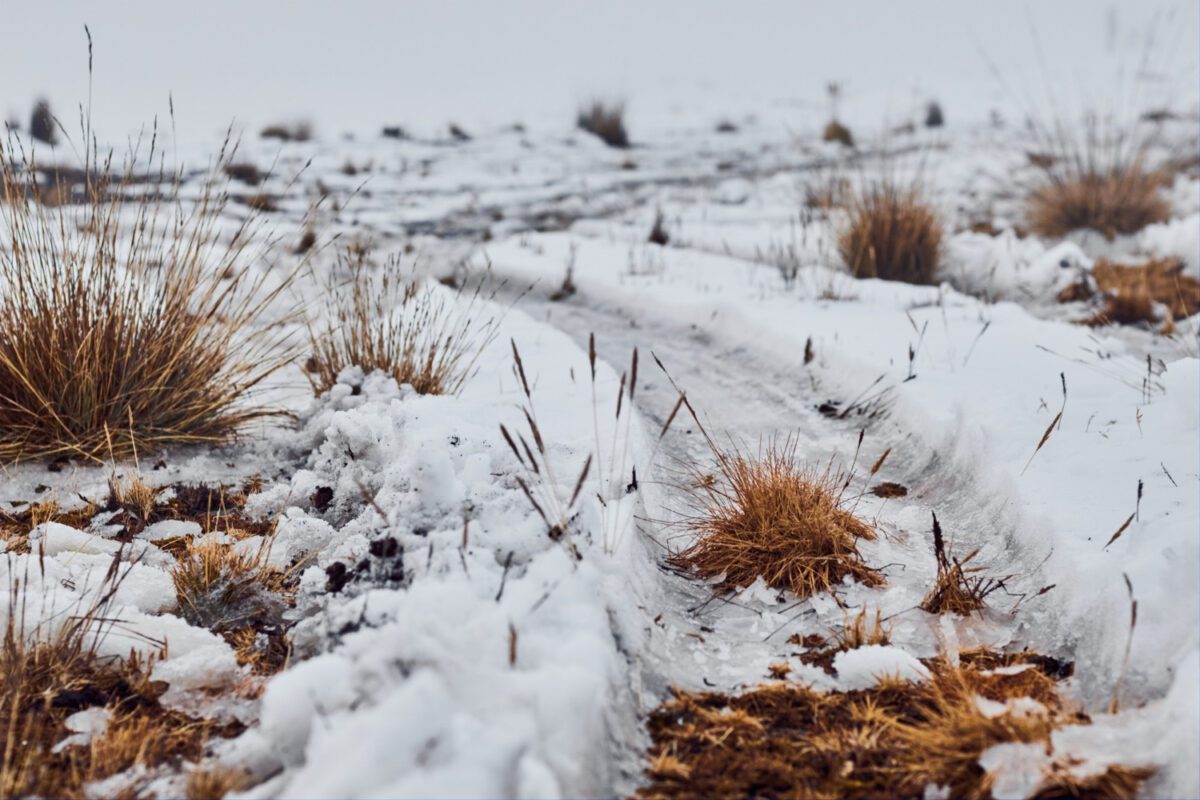 Дачники розповіли, навіщо насипати сніг на грядки в грудні
