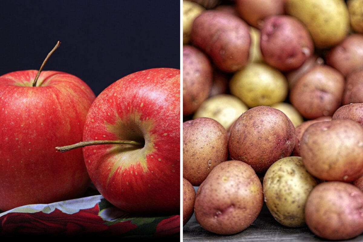 Як зберегти картоплю в погребі надовго без гниття