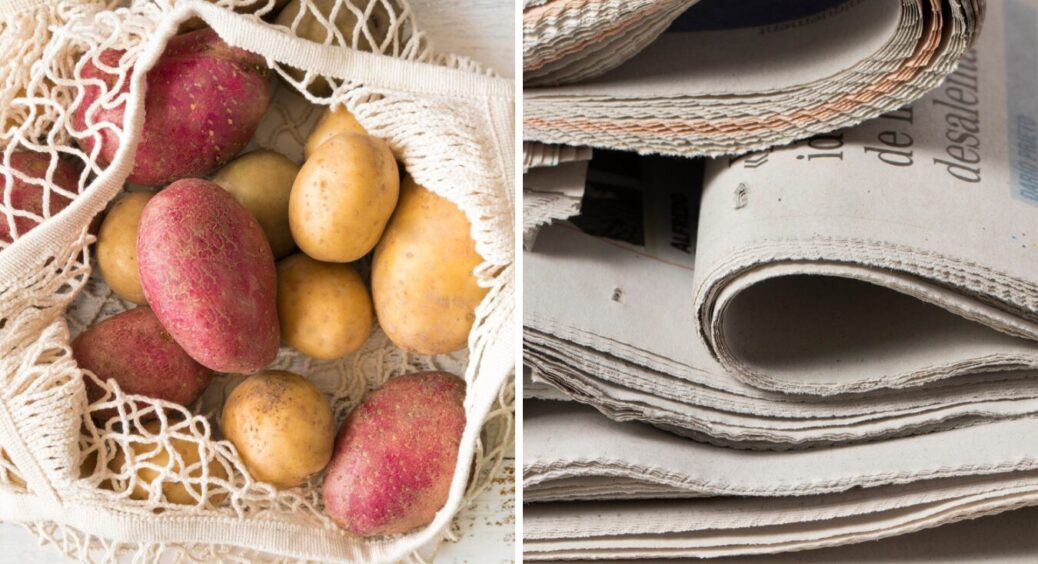 Секрет ідеального зберігання: 1 предмет збереже картоплю свіжою до 6 місяців і довше 