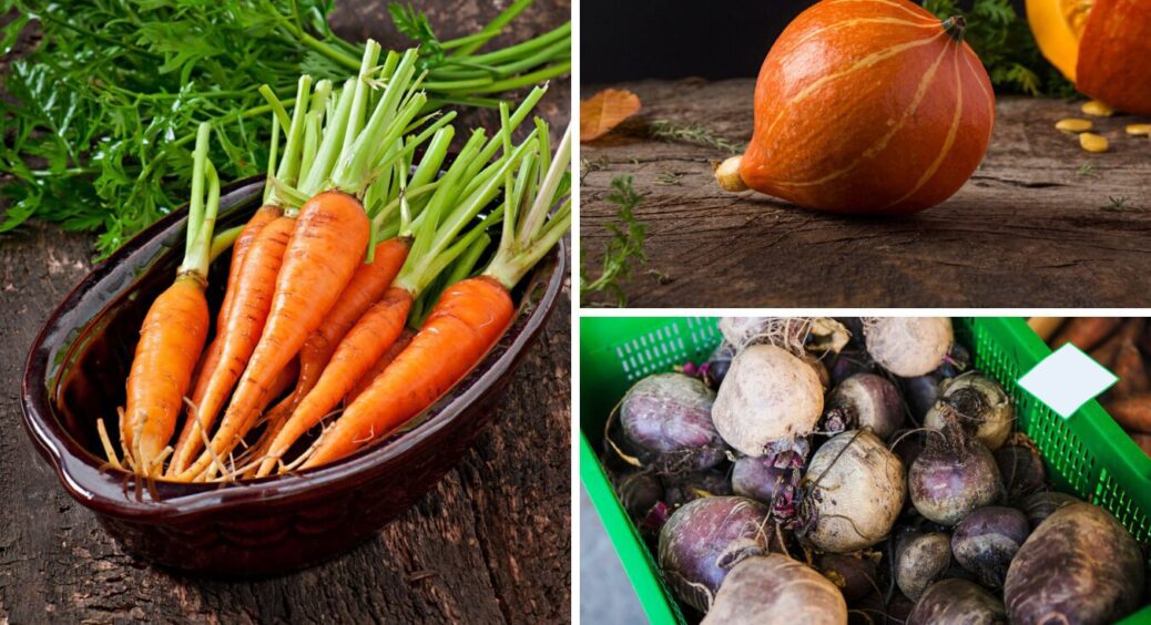 Насіння моркви і ще 2 овочів обовʼязково взимку складаю сюди: вродить в 5 разів більше 