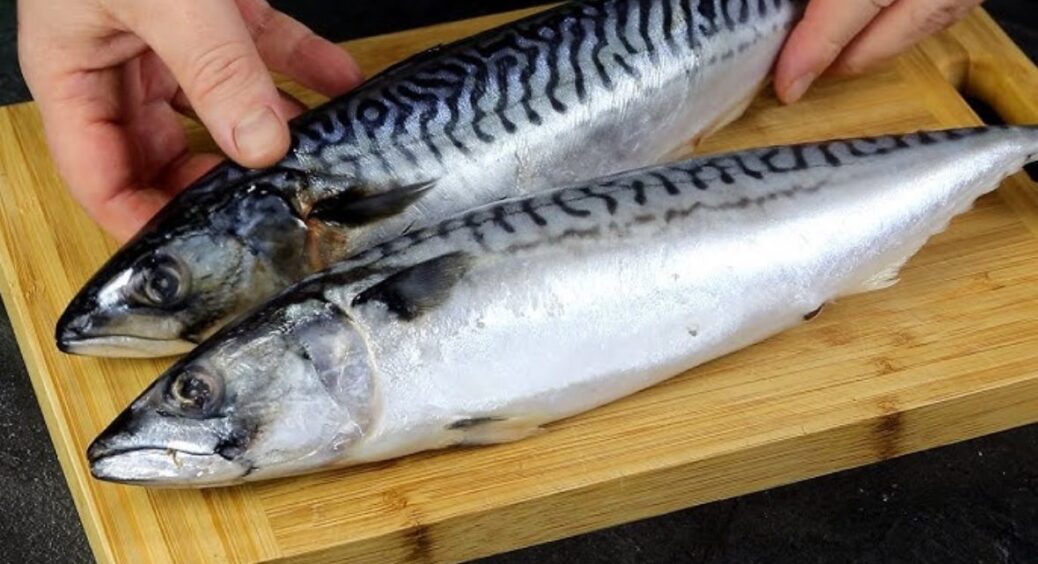 Скумбрію в морозилці можна зберігати не вічність: харчові технологи з Санстанції пояснюють 