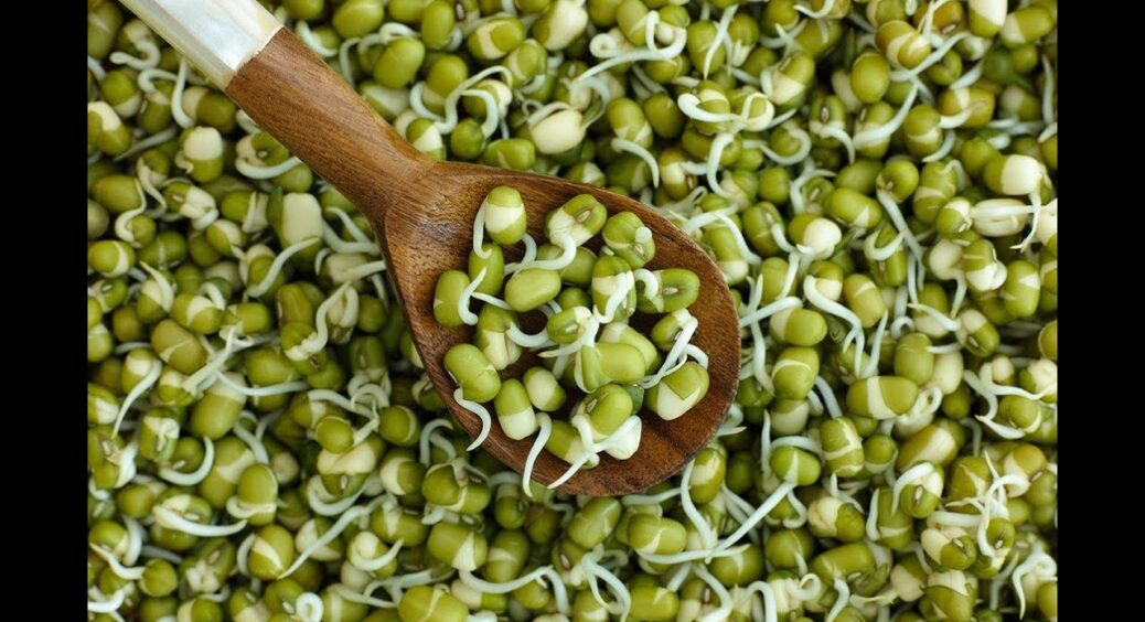 Господині масово вирощують це замість гороху: користі більше, а клопоту на грядках менше 