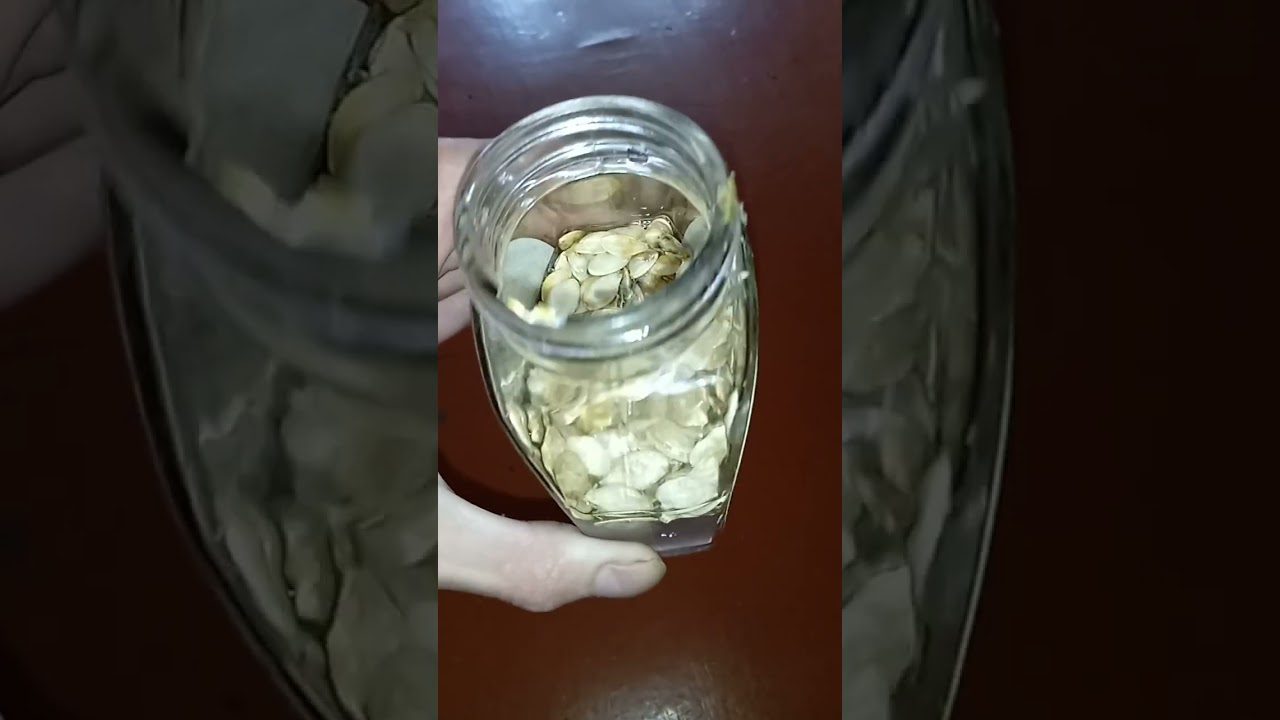 Дачники розповіли, як правильно зберігати насіння овочів взимку