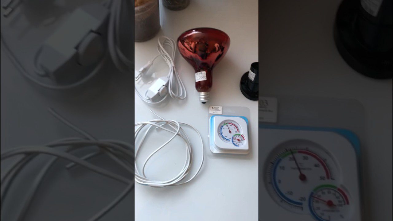 Як облаштувати правильно обігрів курника взимку