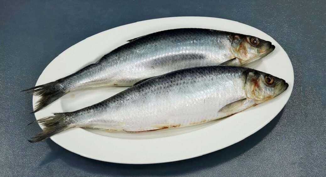 Жодної гіркоти та зайвої солі: як правильно вибрати оселедець для “Шуби” — увага на зябра і очі 
