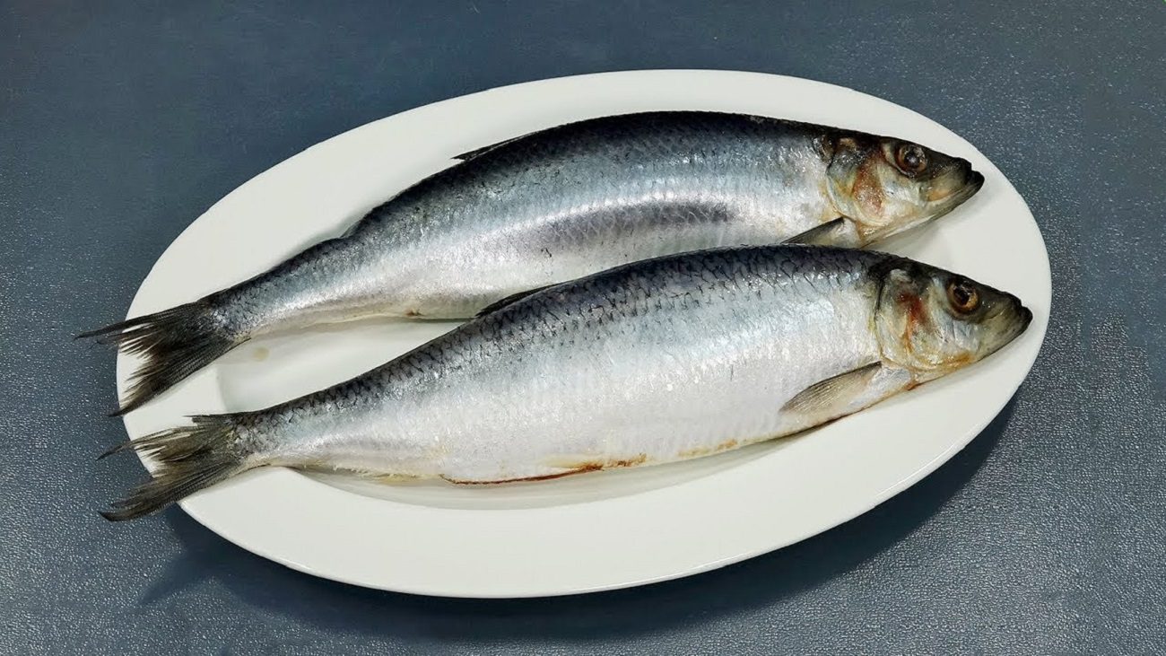 Експерти розповіли, як обрати свіжий і малосольний оселедець в магазині