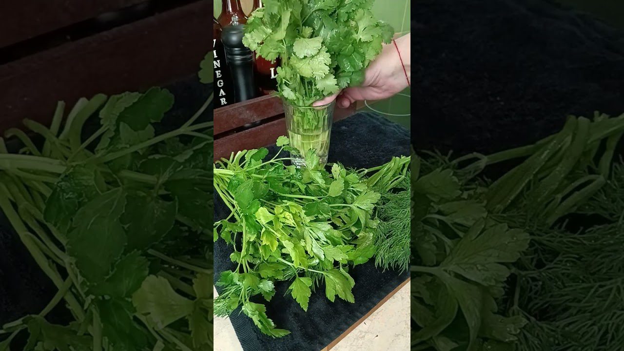 Як надовго зберегти кріп свіжим в холодильнику