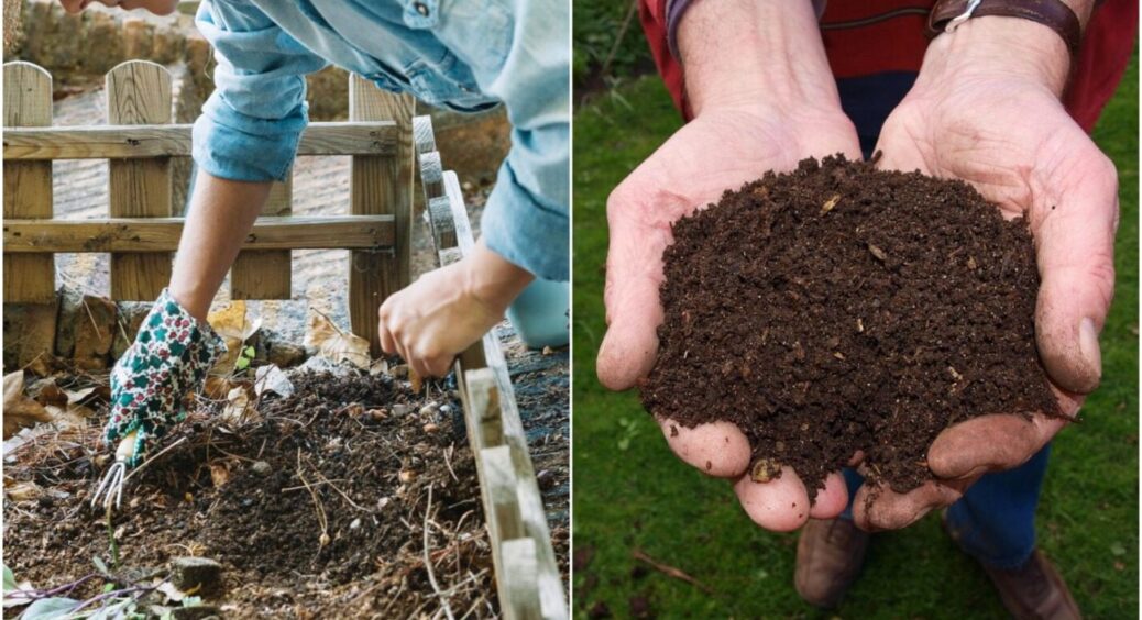 Компостна купа вам більше не потрібна: практикую ЦЕ 10 років поспіль і збираю мега врожай 