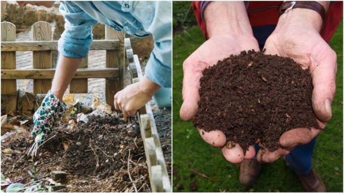 Городники розповіли про новий метод відновлення ґрунту