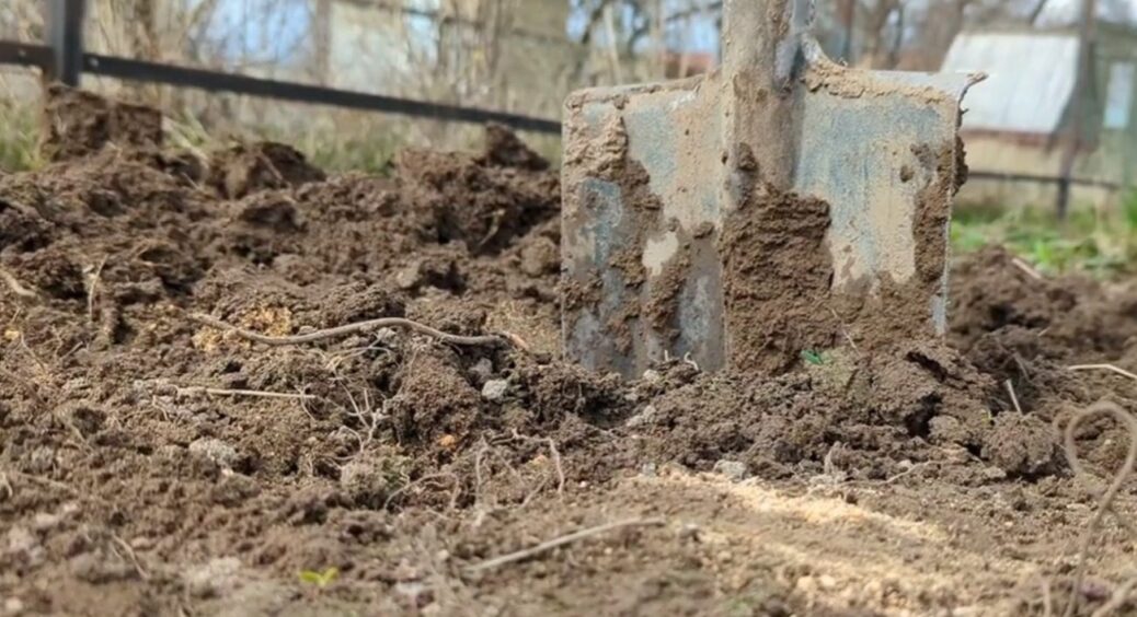 Замість компосту й золи: 1 мінеральна суміш, яку радять вносити на грядки взимку 2025-2026 
