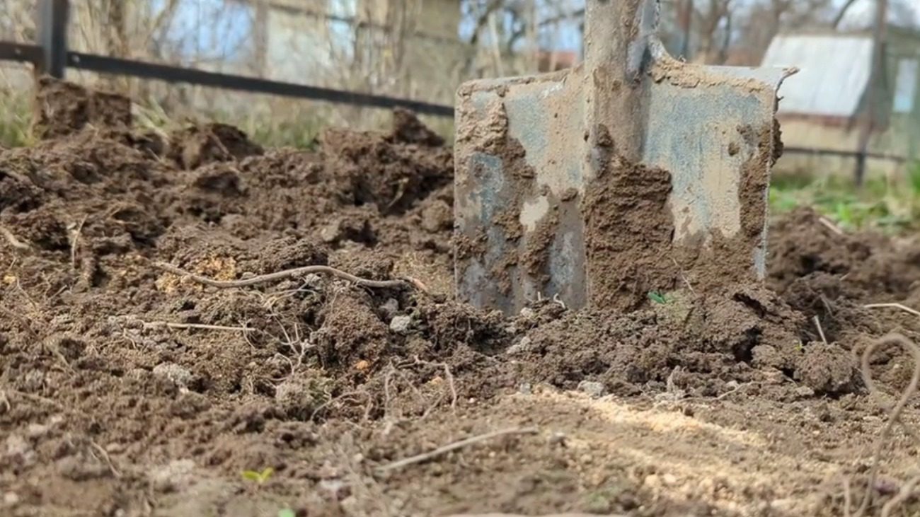 Городники назвали недороге добриво для відновлення ґрунту