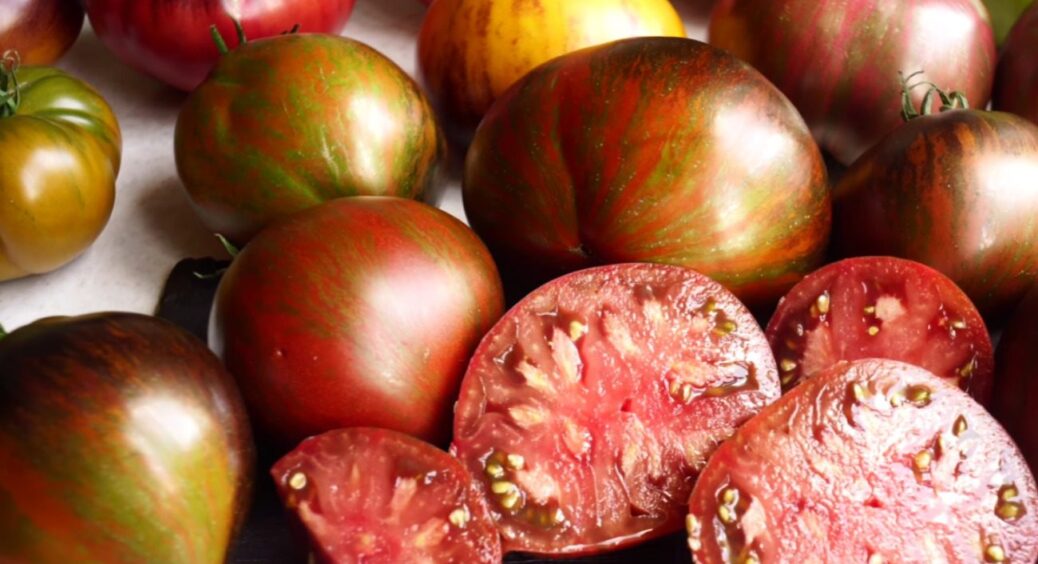 Томати нового покоління! Саджала у 2025 і обов’язково посаджу у 2026 – гарячі новинки сезону 