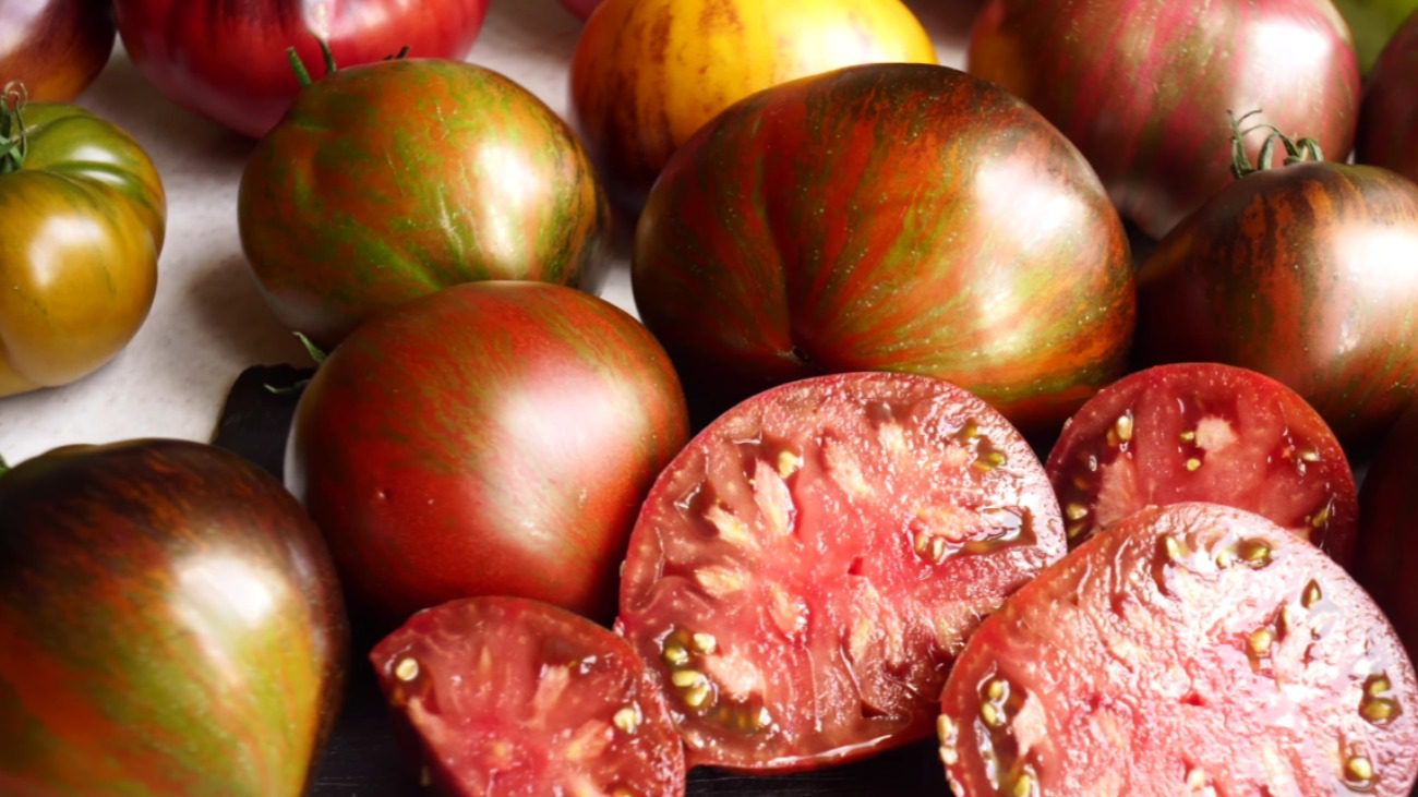 Городники назвали найкращі сорти томатів нового покоління: новинки сезону