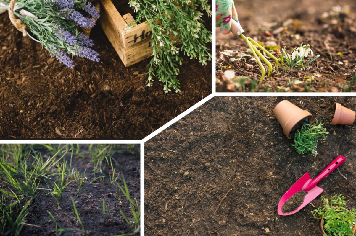 Городники розповіли, що слід внести в ґрунт зараз, щоб покращити його якість