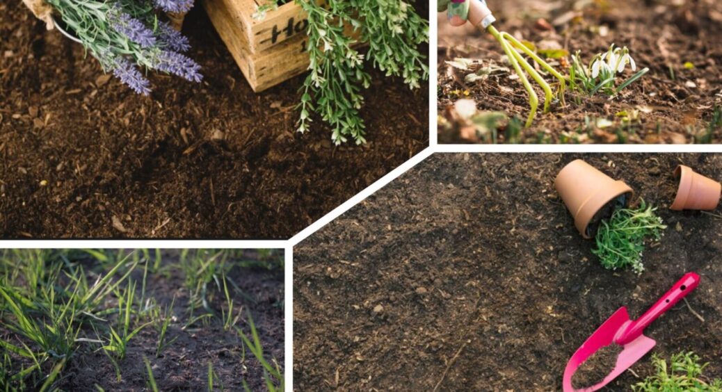 1 добриво в ґрунт до 5 грудня 2025 – і в 2026-му отримаєте рекордний врожай овочів 