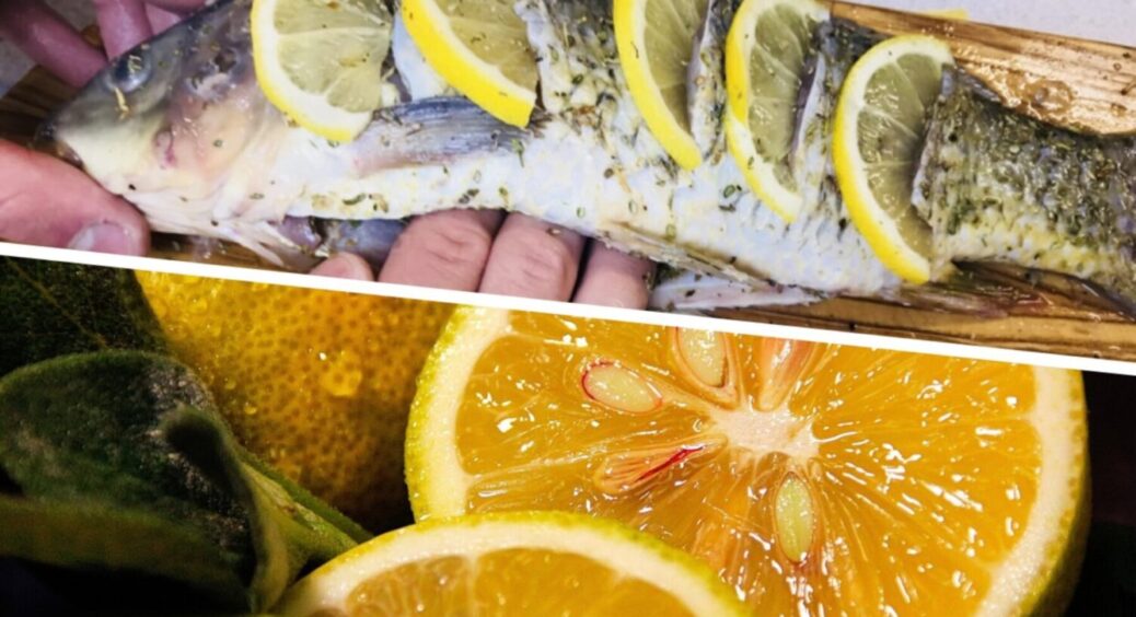 Пальчики оближуть ВСІ: як оригінально подати коропа на новорічний стіл – 1 спосіб 