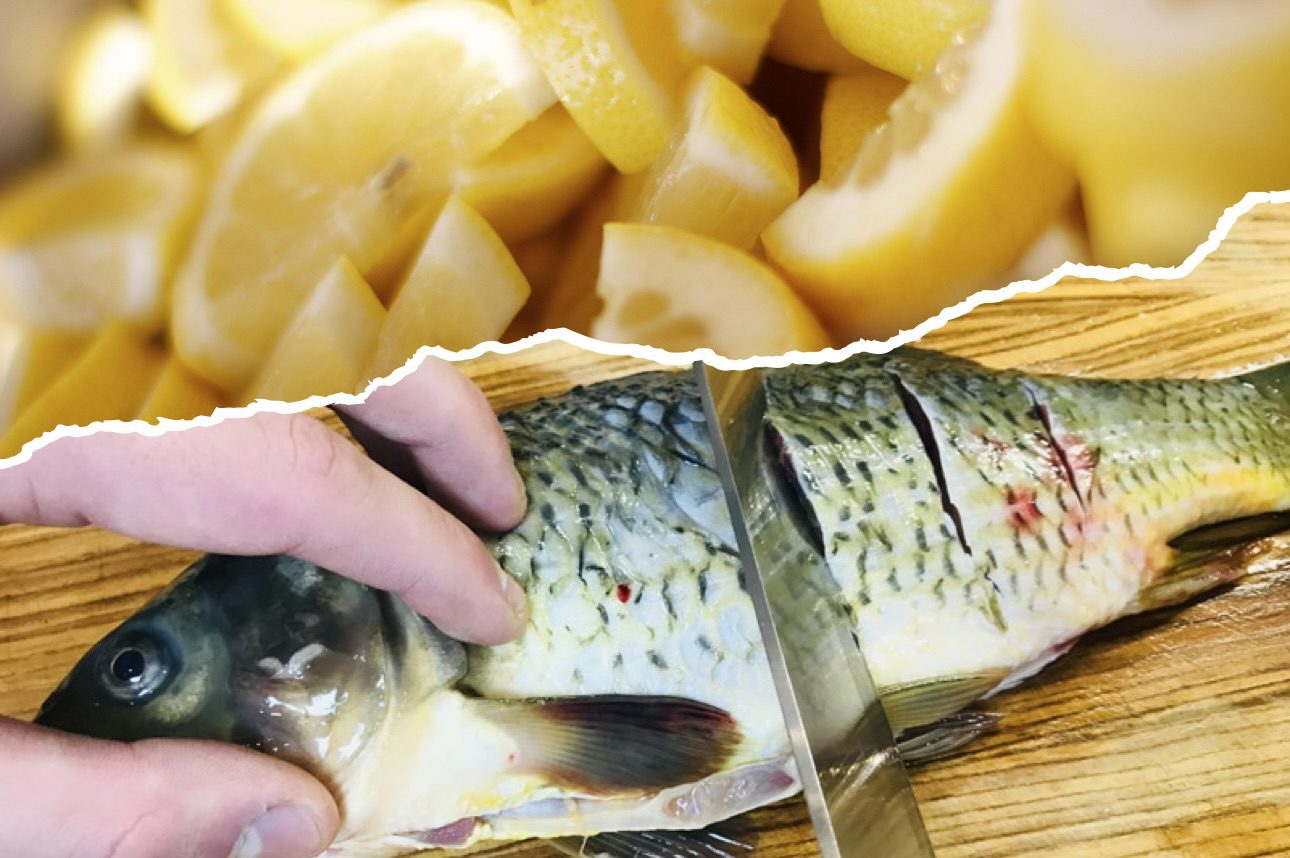 Кулінари розповіли, як красиво та смачно подати коропа на новорічний стіл Кулінари розповіли, як красиво та смачно подати коропа на новорічний стіл