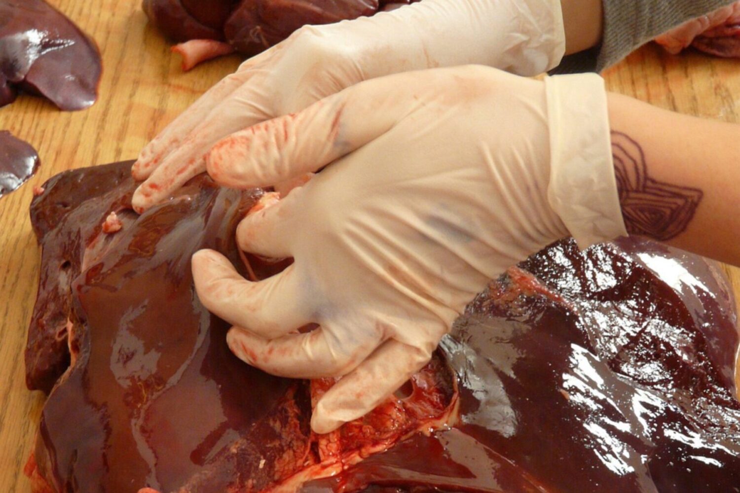 Кулінари поділились бюджетним рецептом рублених котлет із печінки Кулінари поділились бюджетним рецептом рублених котлет із печінки