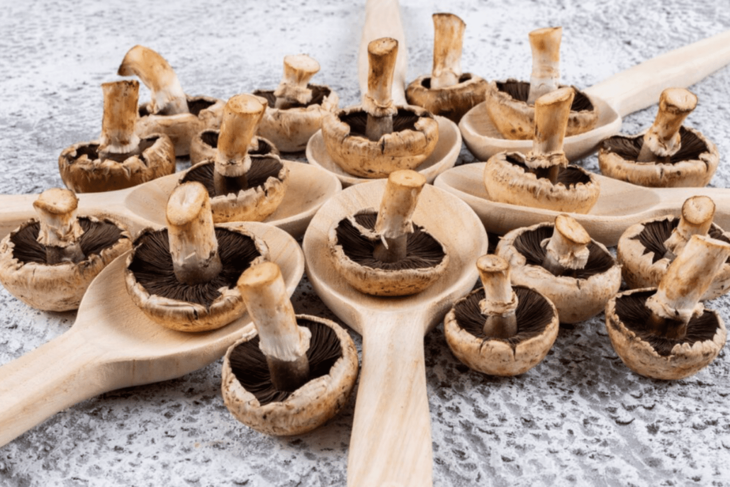 Кулінари розсекретили рецепт найсмачніших маринованих грибів