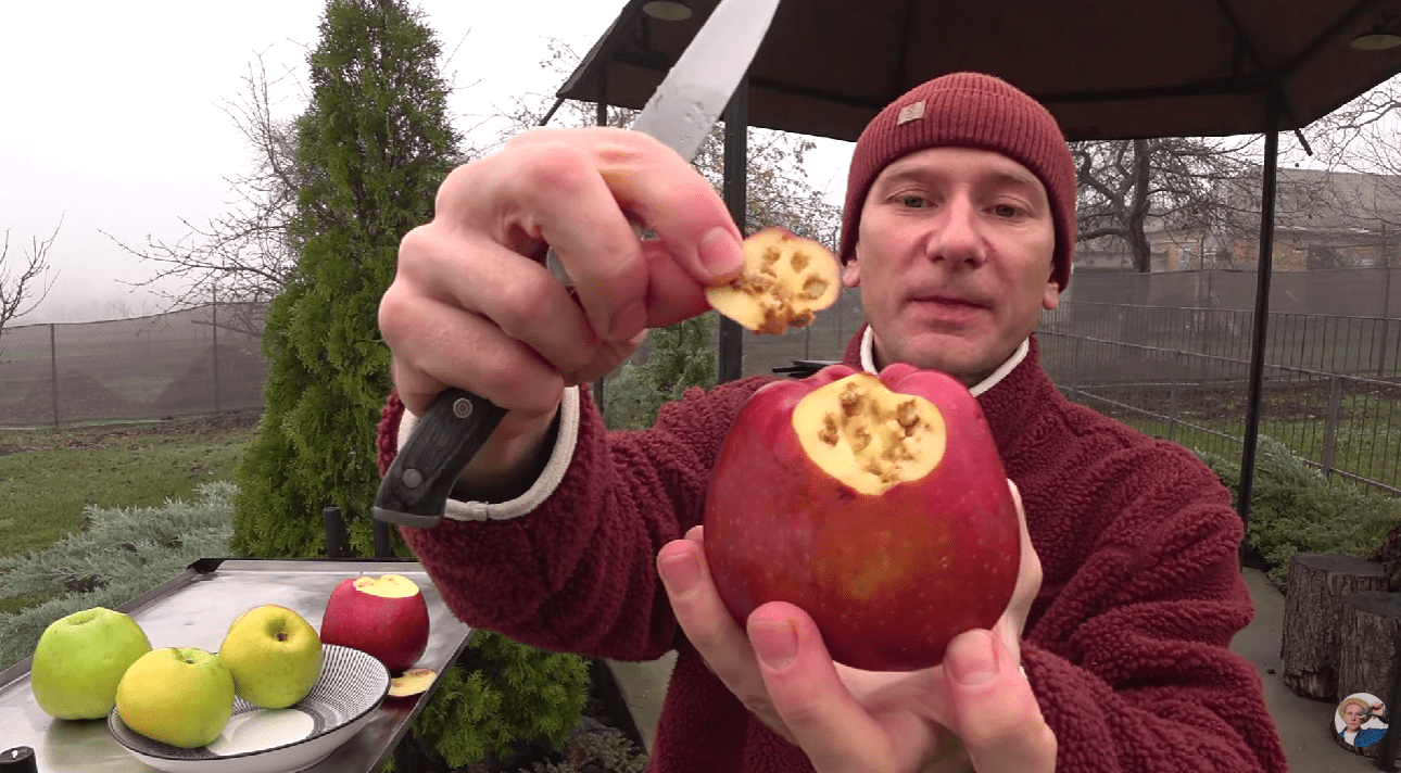 Чому яблука погано зберігаються та покриваються плямами