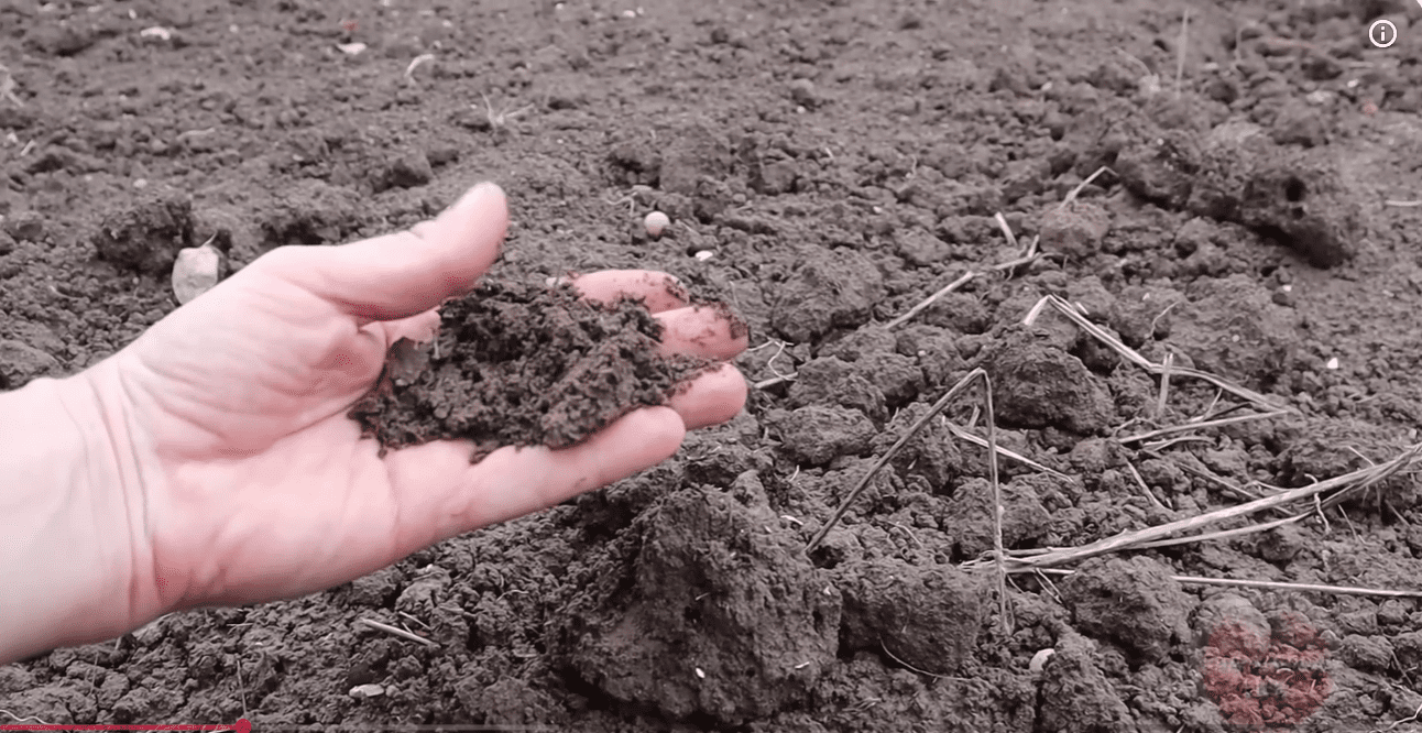 Городники розповіли про новий метод відновлення ґрунту