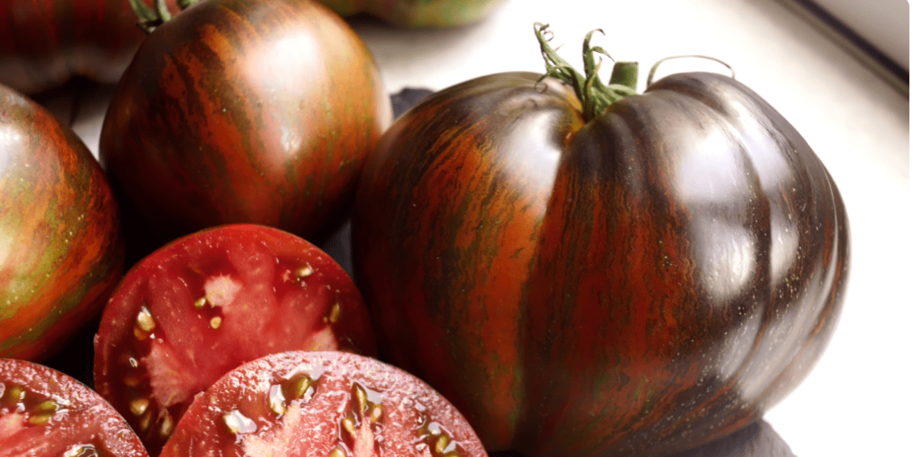 Городники назвали найкращі сорти томатів нового покоління: новинки сезону