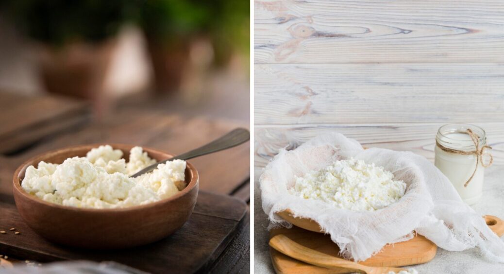 Коли краще їсти кисломолочний сир: сніданок чи вечеря – як зробити найкращий вибір для здоров’я? 