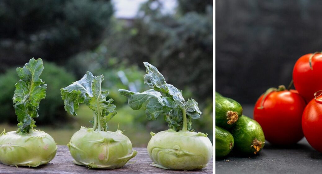 Ці 2 овочі даремно вважають “корисними”: що вам варто переглянути у зимовому раціоні 