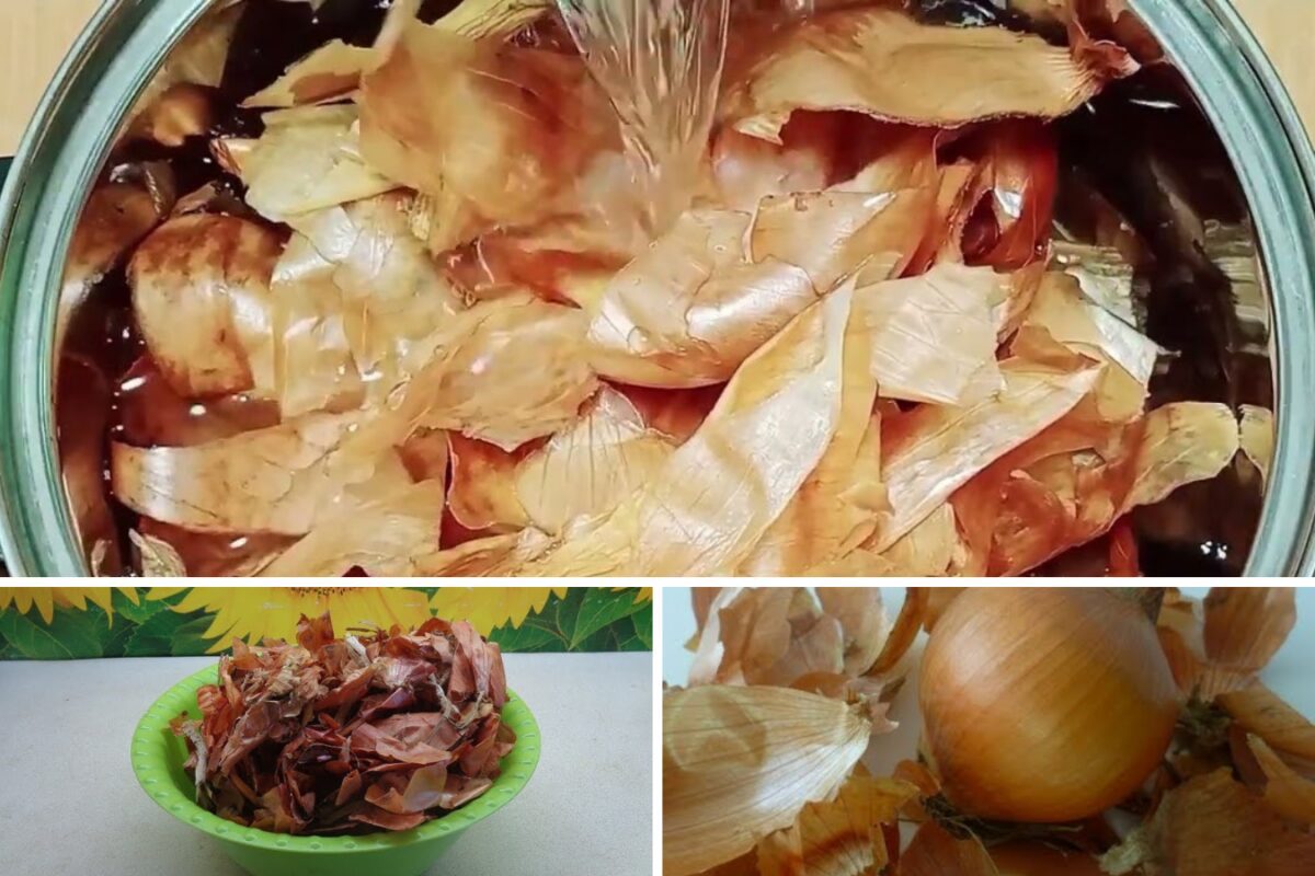 Навіщо дачники закопують в землю лушпиння цибулі