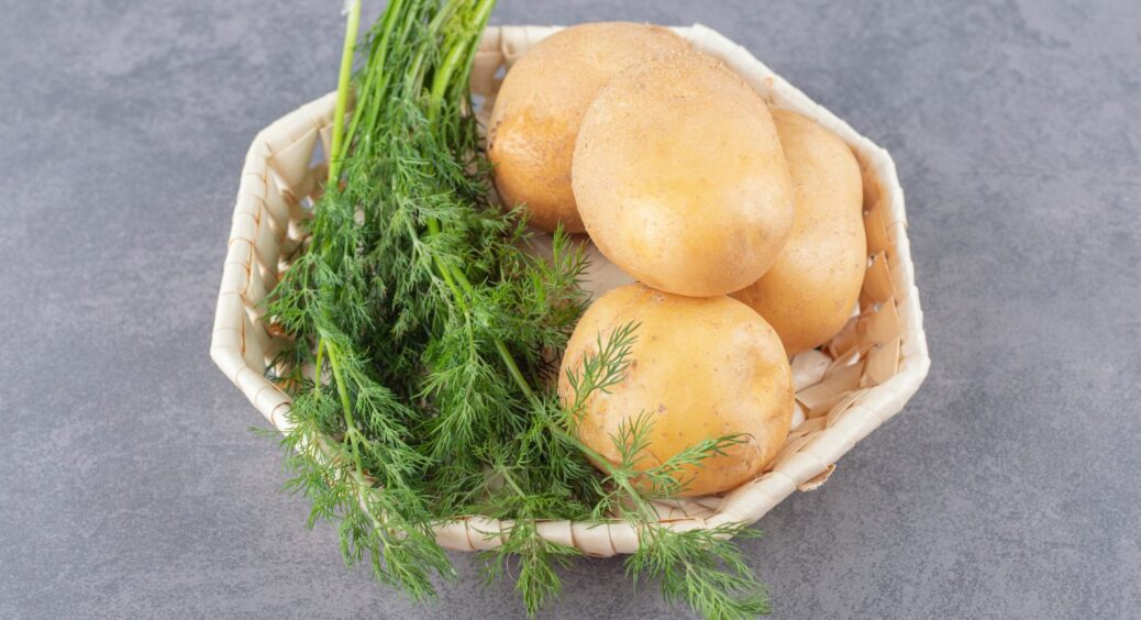 Пюре з них – це випробування: ці 4 сорти картоплі годяться тільки на корм, а не для столу 