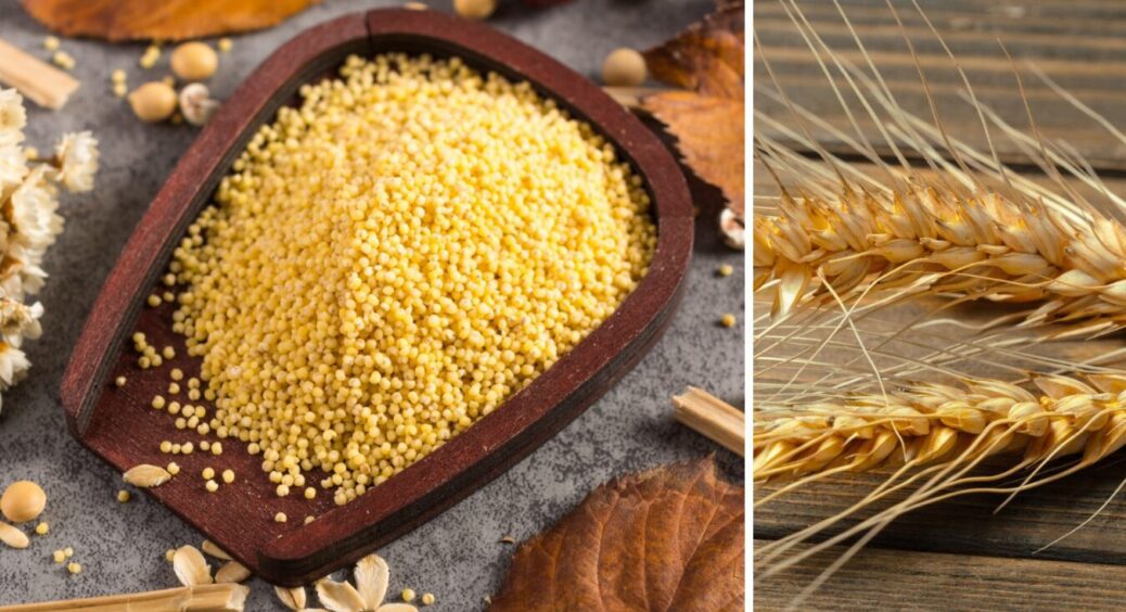 Помилка в назві – помилка в смаку: чим відрізняється пшоно від пшеничної крупи 