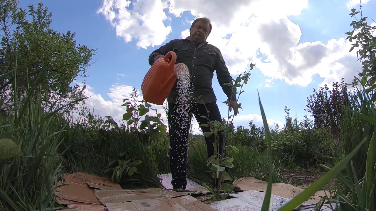 Як використовують картон на дачних ділянках 